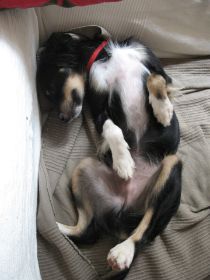 Piero2 010.JPG