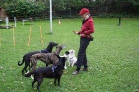HundeplatzOkt_2010 041.JPG