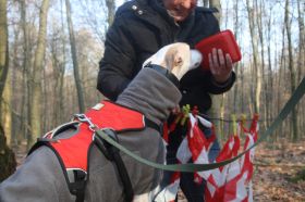 MantrailingAnAdvoc29Januar11 039.JPG